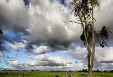 开云平台-柏林铁壁之下：霍芬海姆的破局野心