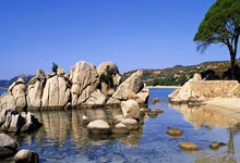 开云体育平台APP-狂轰122分碾碎魔术！篮网团队风暴点燃季后赛引擎