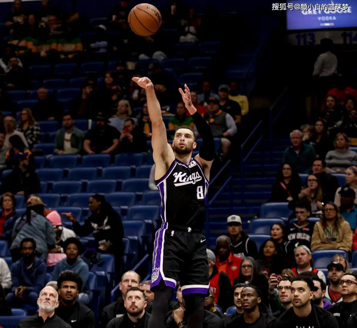 关于鹈鹕中锋大放异彩，全面发威击败尼克斯的信息