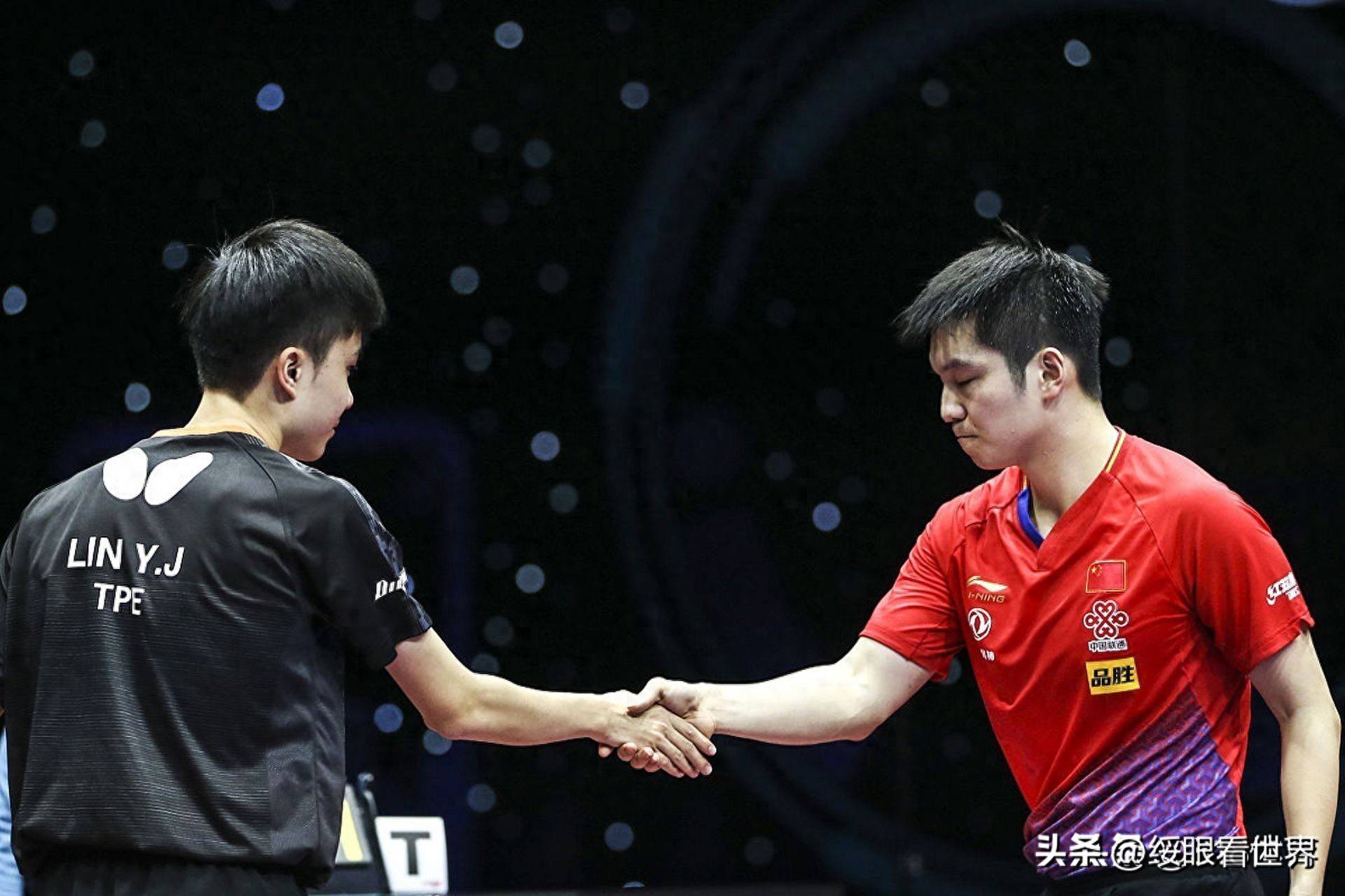 台湾乒乓球队技压群雄，斩获胜利的简单介绍