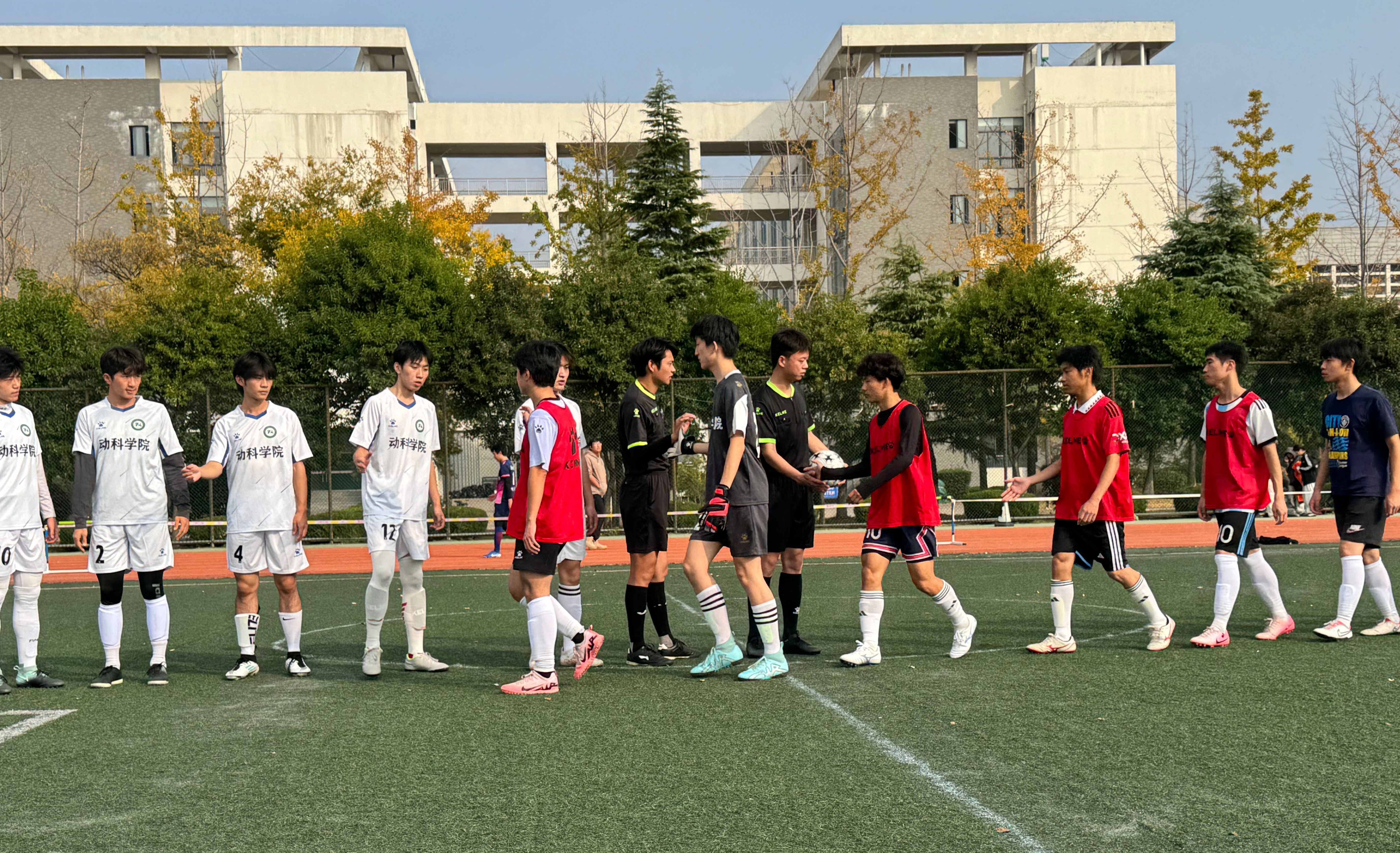 这场足球比赛中展现的团队协作精神令人震撼