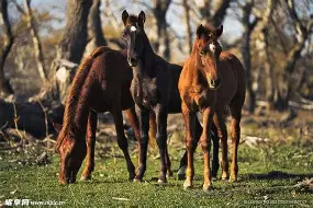 开云APP-马列尼坏耗临头，费比亚诺难逃遭贬