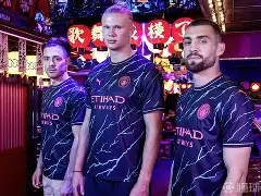 拜仁在英超中绝杀曼城，数据统计的简单介绍