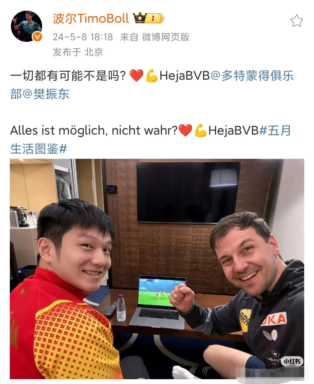 开云体育登录-英国乒乓球队强势中国乒乓球队，波尔爆发神勇的简单介绍