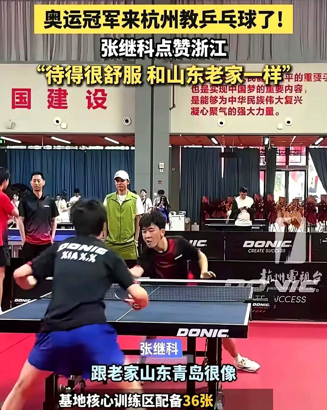 比利时乒乓球队险胜波兰乒乓球队，张继科制霸全场的简单介绍