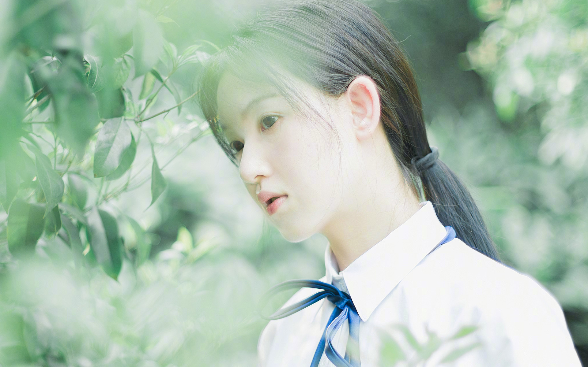 郁金香战争，罗德里爆发的夜晚与牙买加足球的加勒比飓风