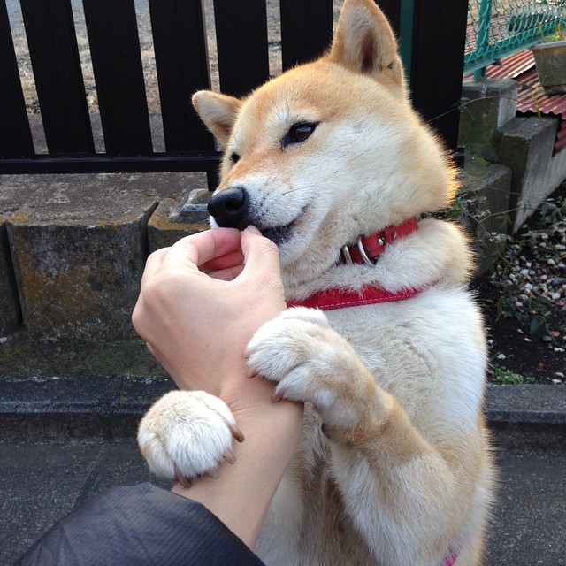 开云体育APP下载-冰川盾墙与中场铁闸，冰岛链式防守冻结芬兰，坎特在年度焦点战上演统治级表演