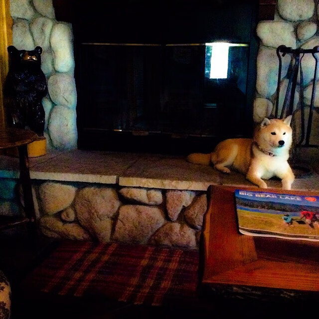 孙兴慜一锤定音，比利时掀翻德国战车的不对称胜利