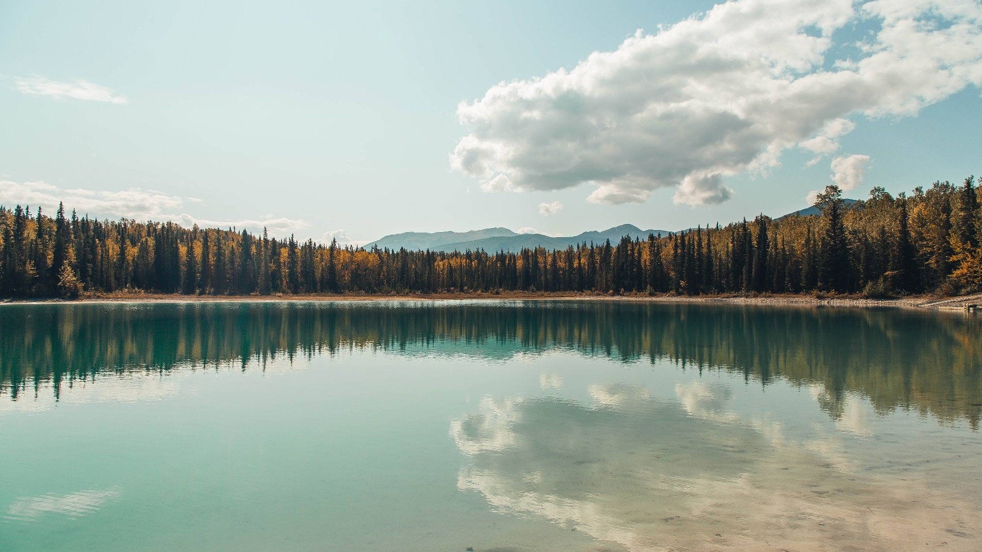 开云体育平台APP-王冠上的宝石，孙兴慜如何定义了大场面先生