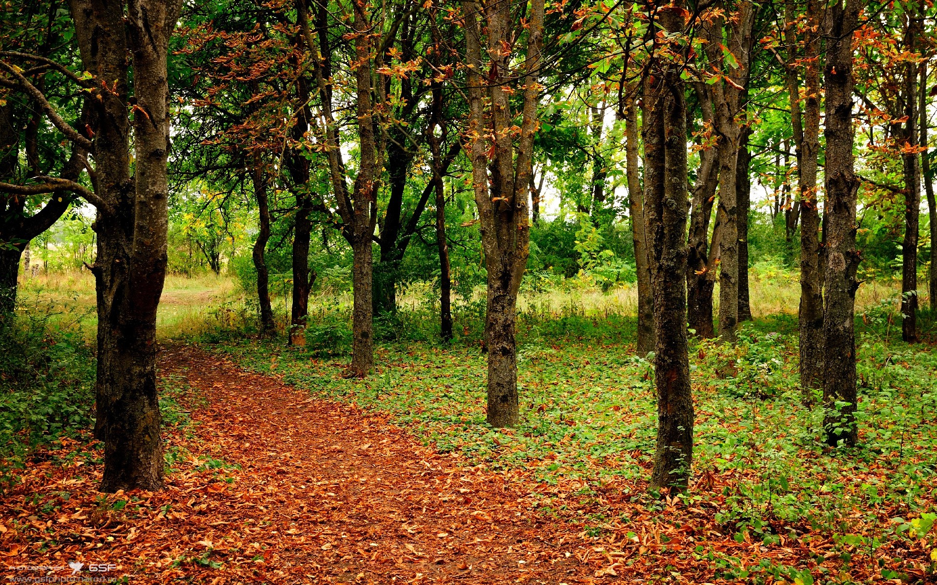 淬火重铸！克莱关键三分点水成金，湖人主场击溃雷霆