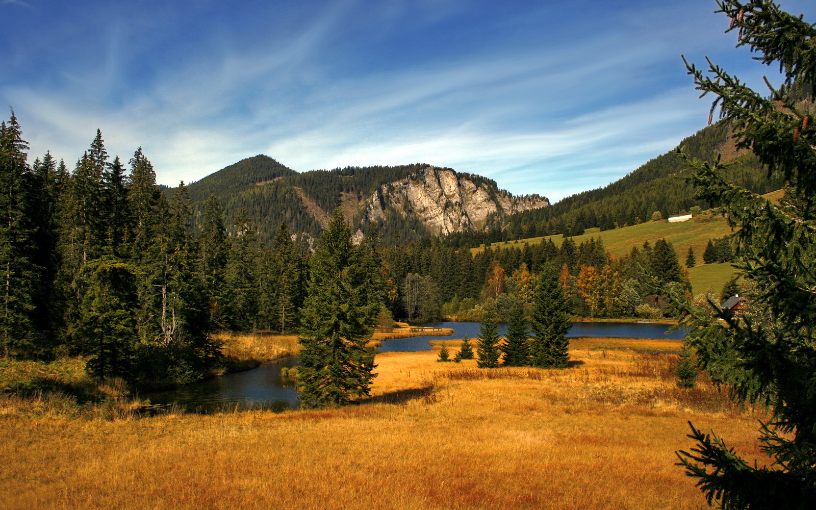 冰火交织的夜晚，掘金铁蹄踏破篮网，杰伦·格林在欧冠战场加冕为王