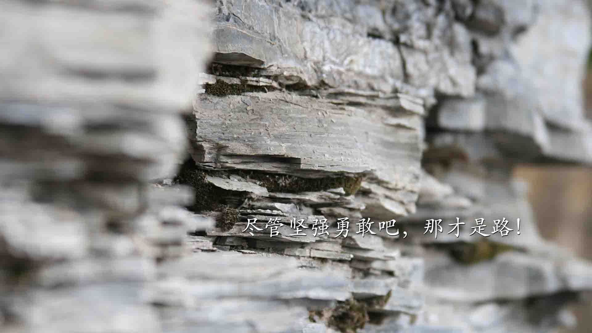 开云体育入口-范弗利特爆发背后，新疆队如何从爵士式防守中学到关键战突围密码