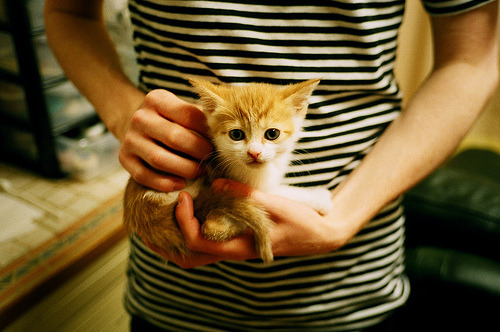 单骑定乾坤!德罗赞掌控比赛走势,公牛轻取魔术