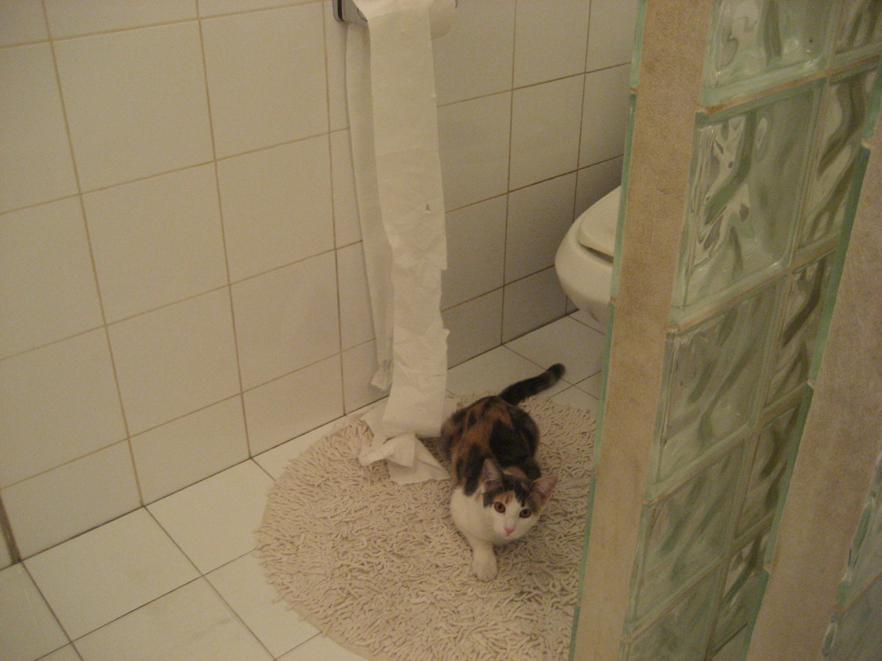 灰熊第三节风暴席卷老鹰，克莱硬仗之王归来正名