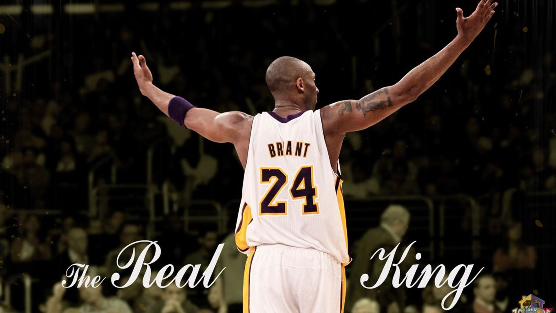 当大舞台遇见大心脏，武切维奇的美加墨世界杯宣言