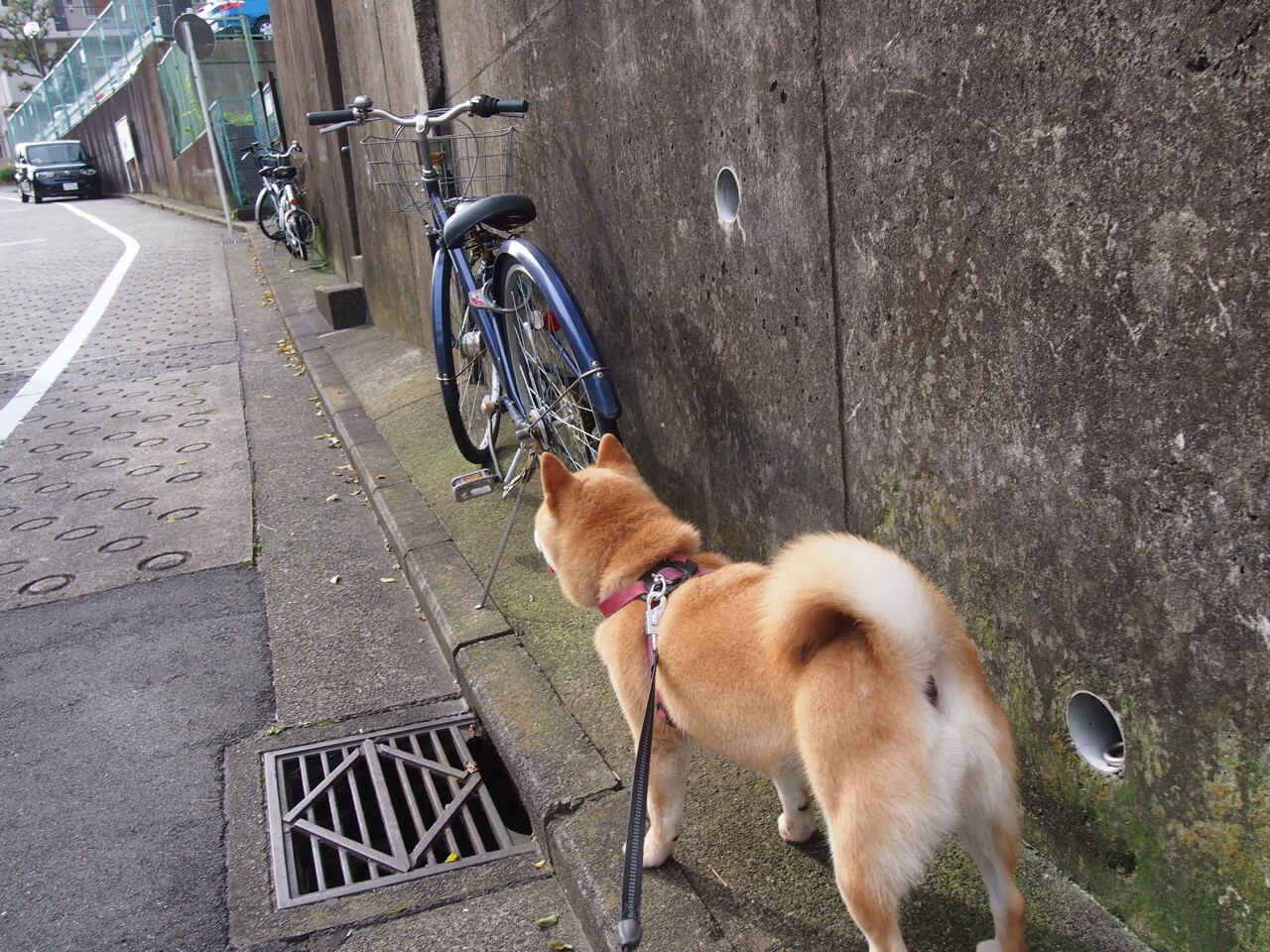 刺客无声，贝恩利刃出鞘，独行侠绝境逢生